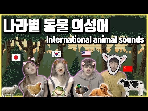 영어 한국어 일본어 중국어 나라별 동물 의성어 차이 English Korean Chinese & Japanese Animal Sound differences