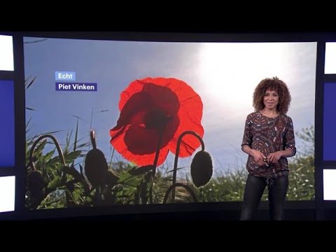Buienradar NL Middag 20171505 - RTL WEER